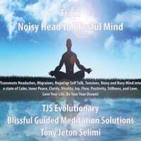 From Noisy Head to Blissful Mind